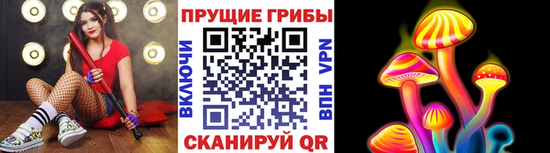 Псилоцибиновые грибы прущие грибы  Чулым 